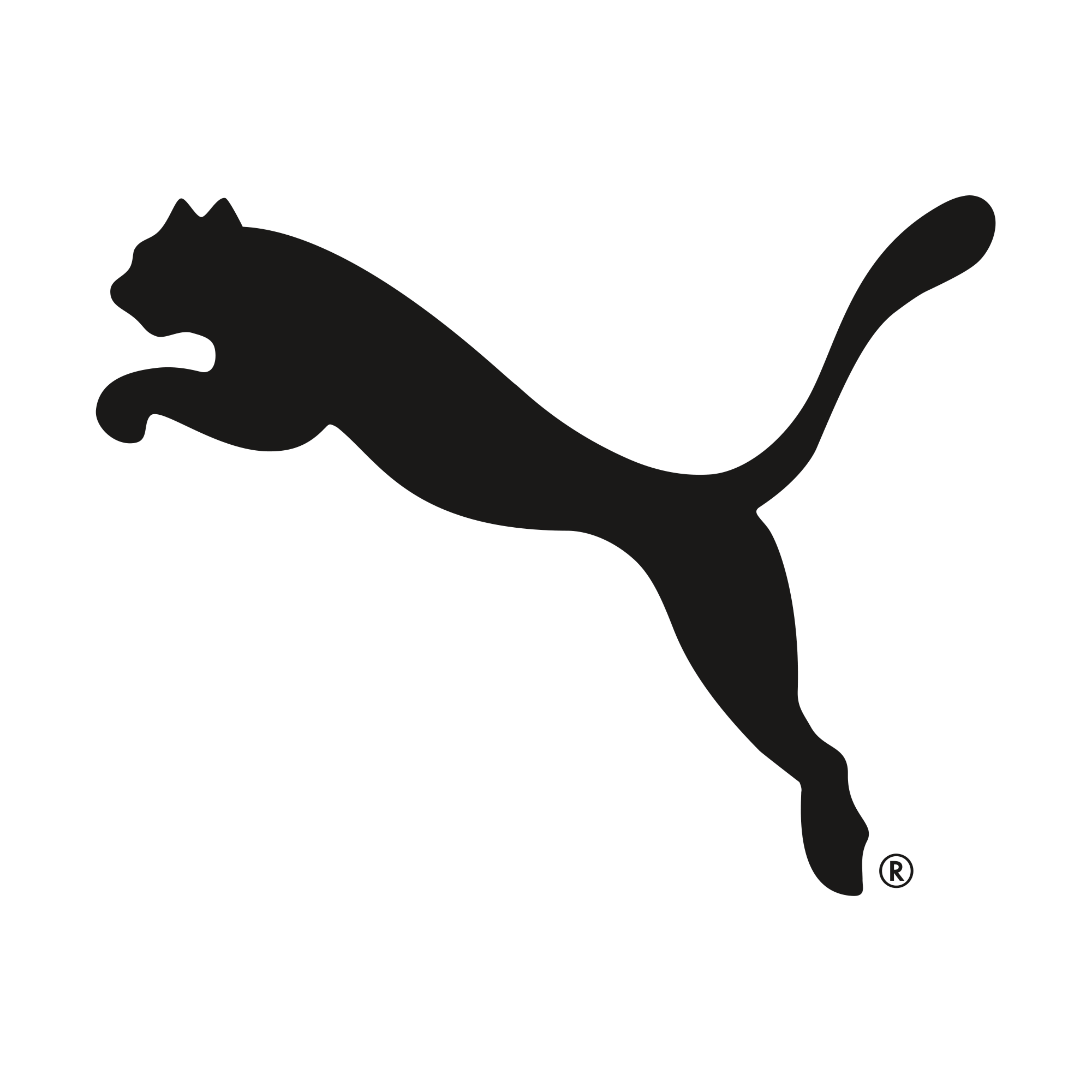 PUMA — cupoane și cod reduceri